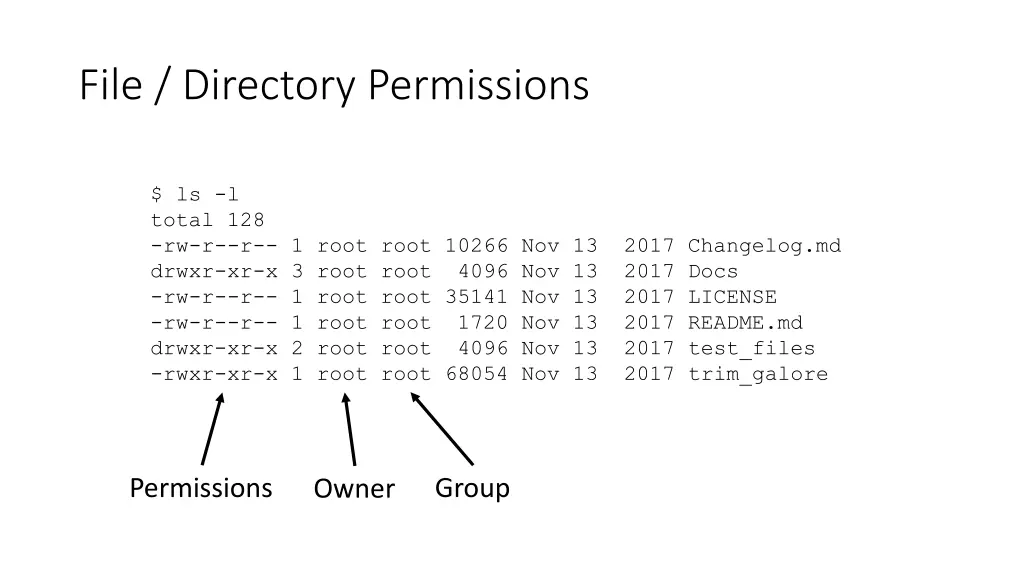 file directory permissions 1