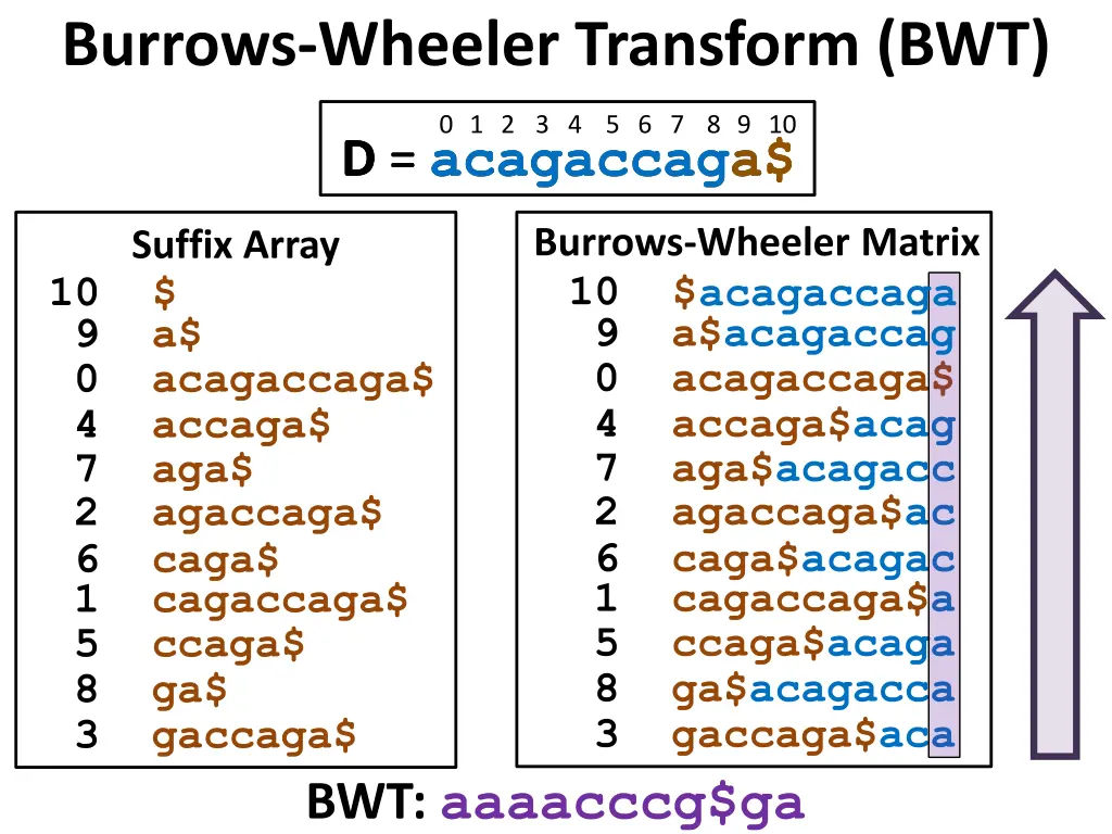 burrows wheeler transform bwt