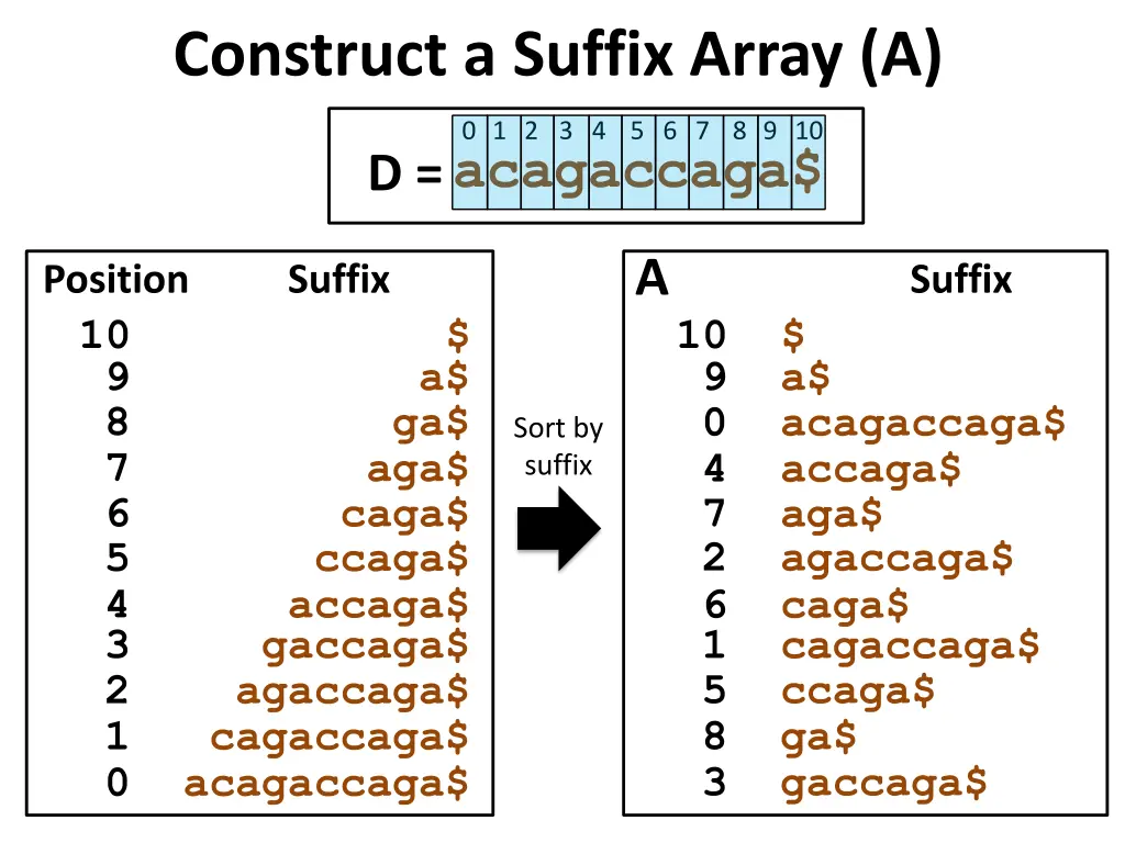 construct a suffix array a