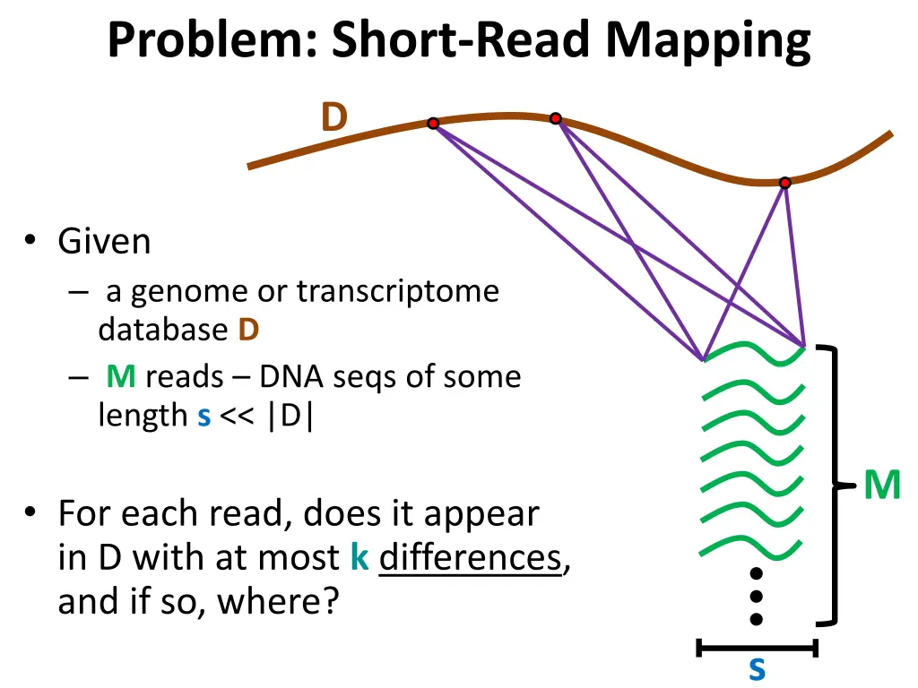 problem short read mapping