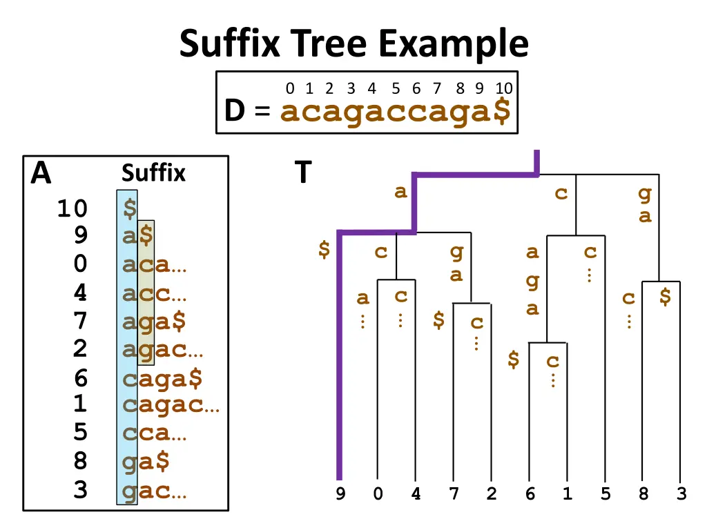 suffix tree example