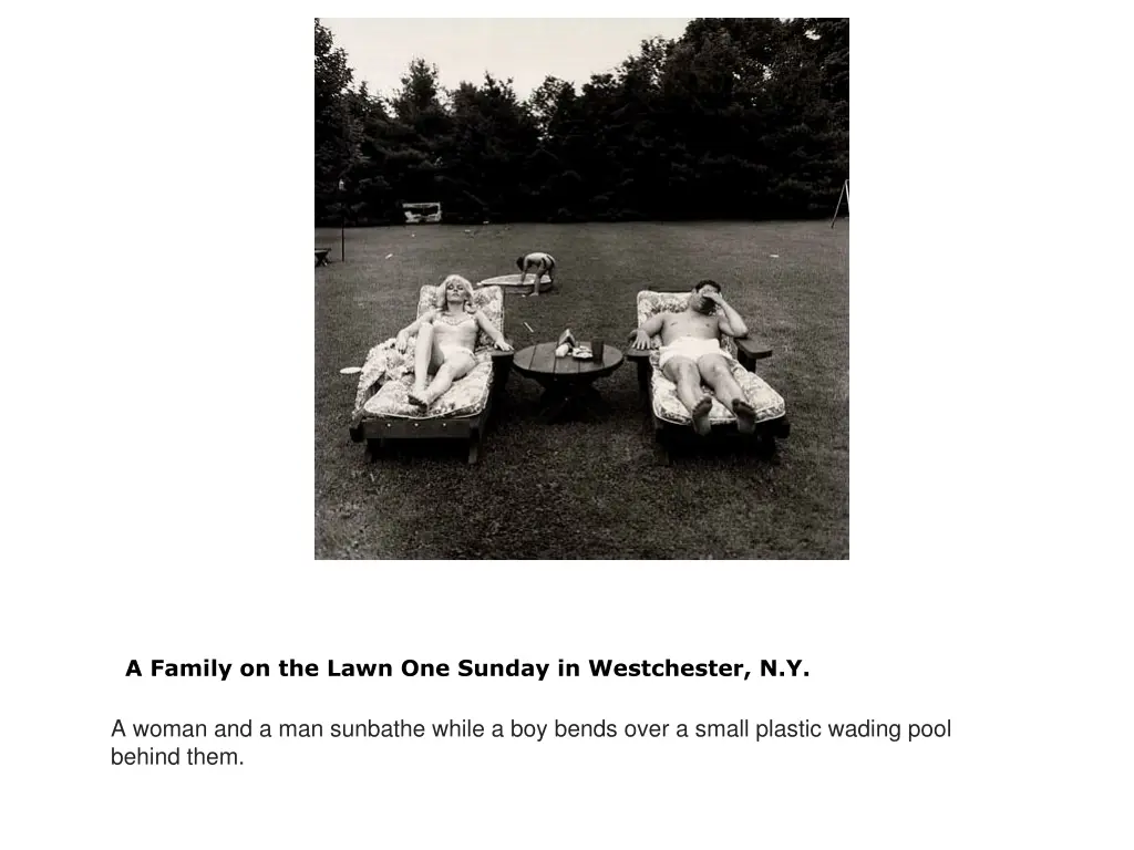 a family on the lawn one sunday in westchester n y