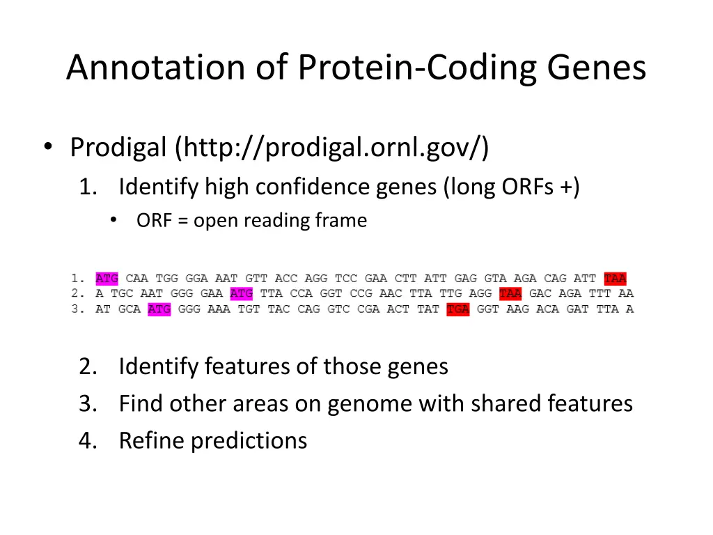 annotation of protein coding genes