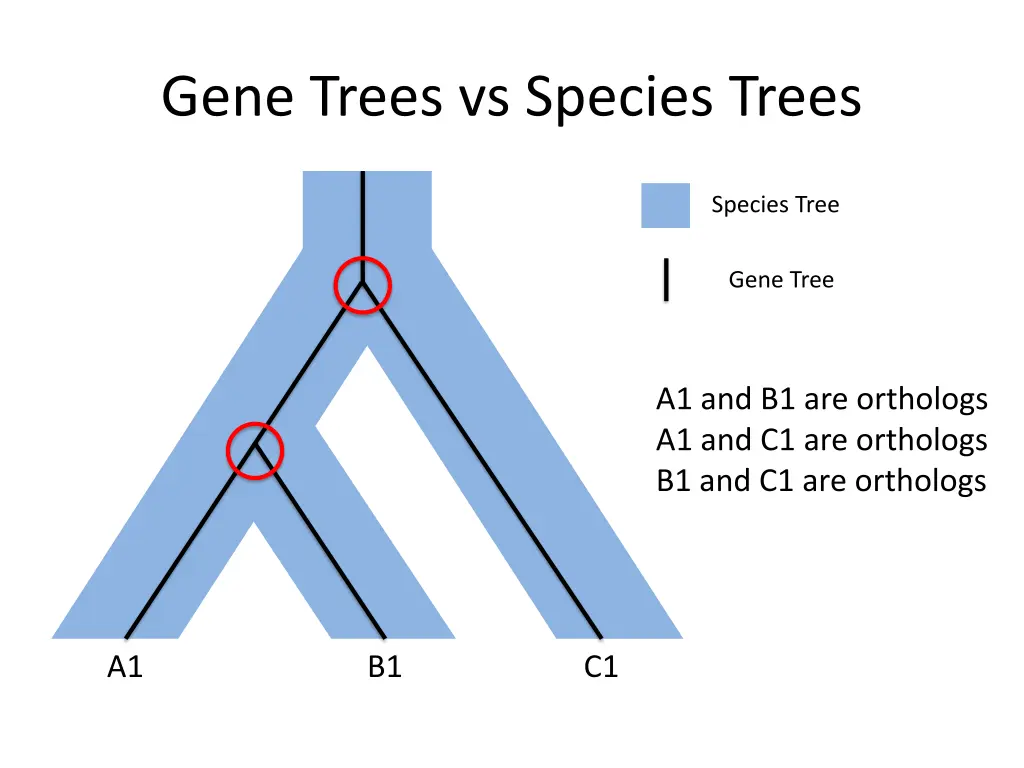 gene trees vs species trees 1