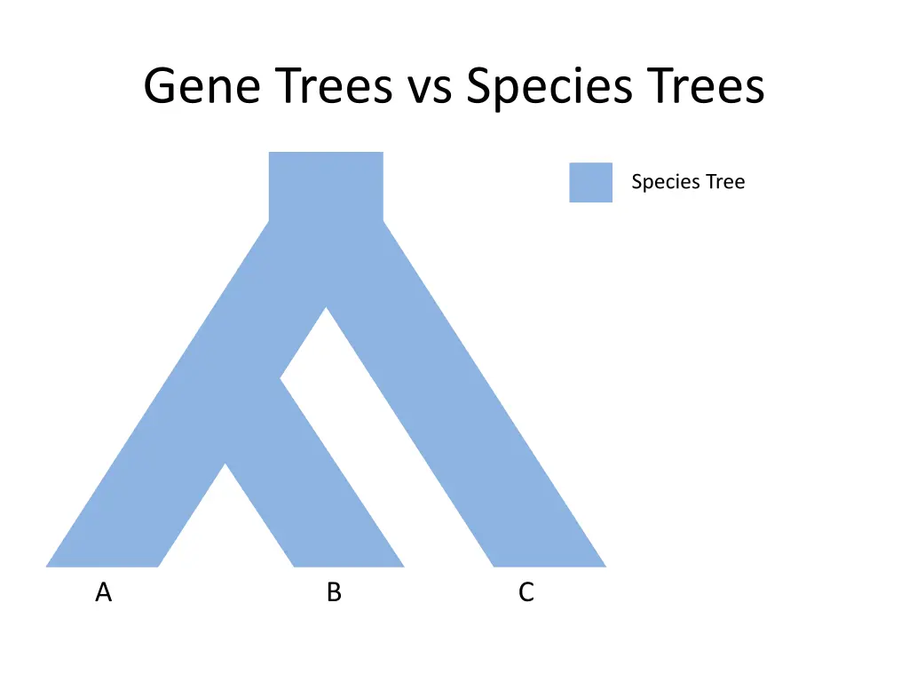 gene trees vs species trees