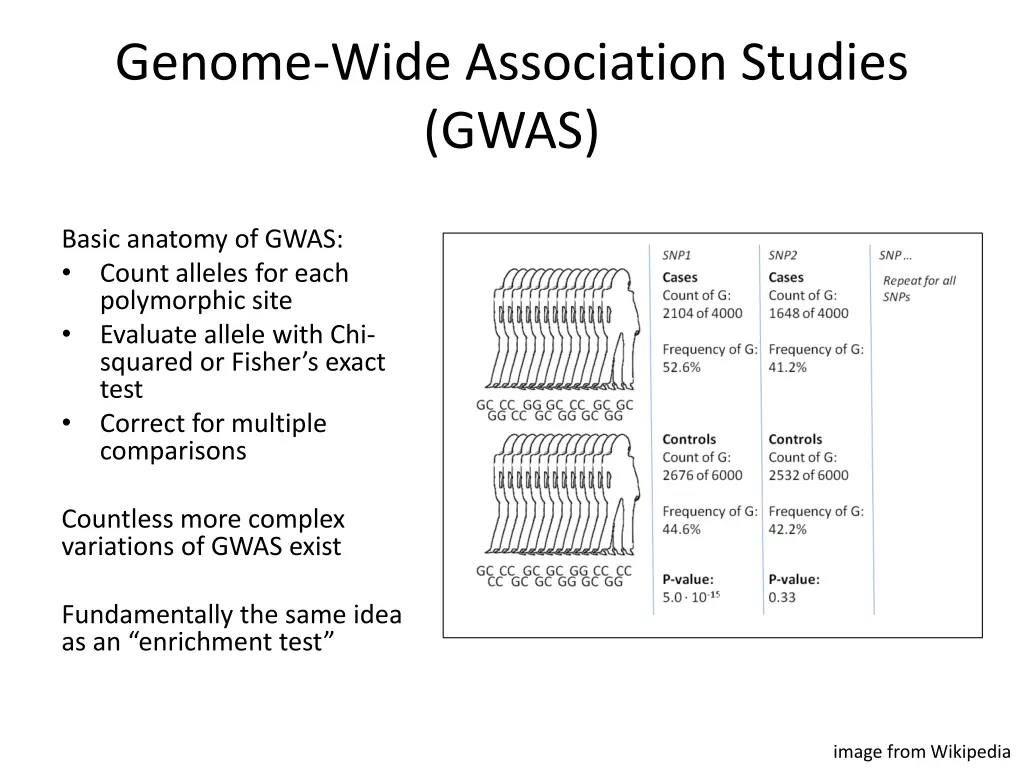 genome wide association studies gwas