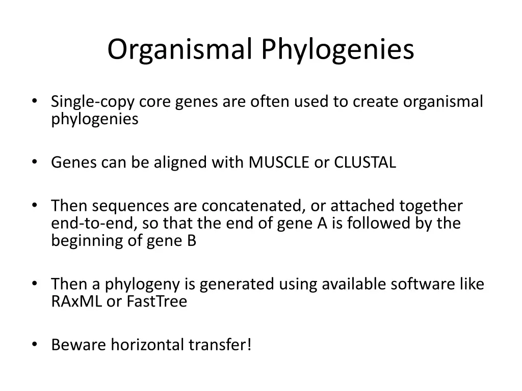 organismal phylogenies