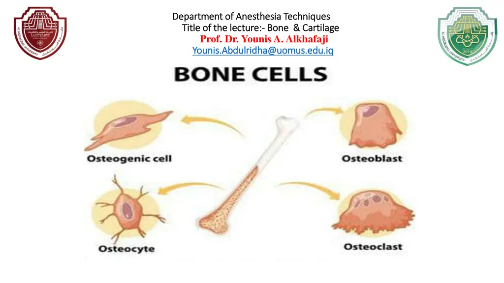 department of anesthesia techniques department 2