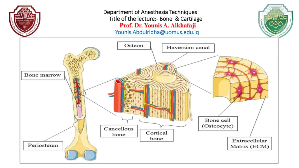 department of anesthesia techniques department 6