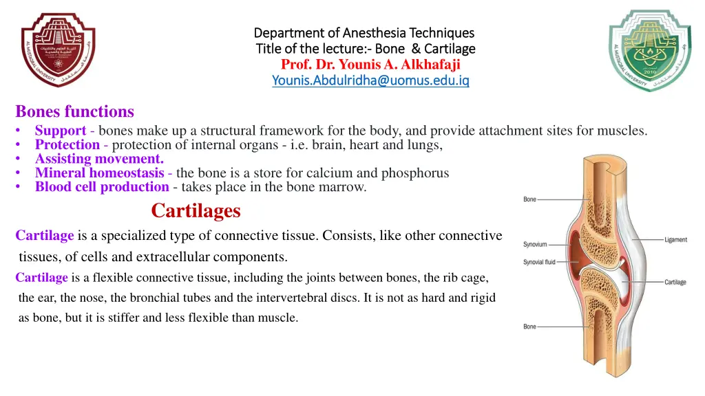 department of anesthesia techniques department 7