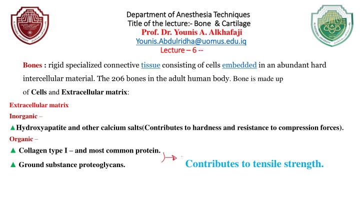 department of anesthesia techniques department