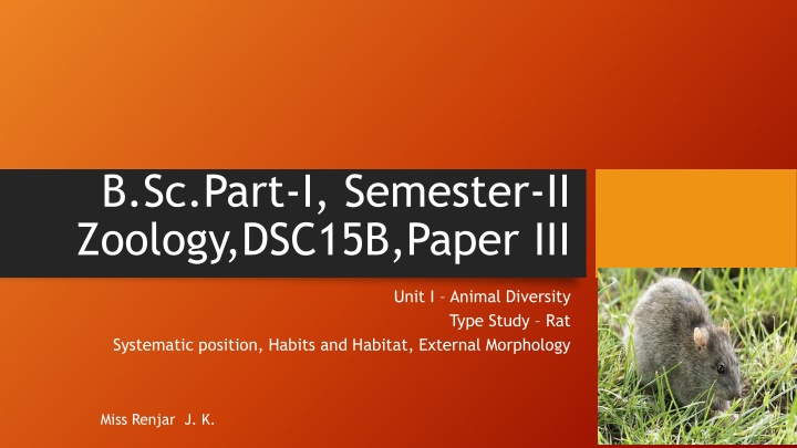 b sc part i semester ii zoology dsc15b paper iii