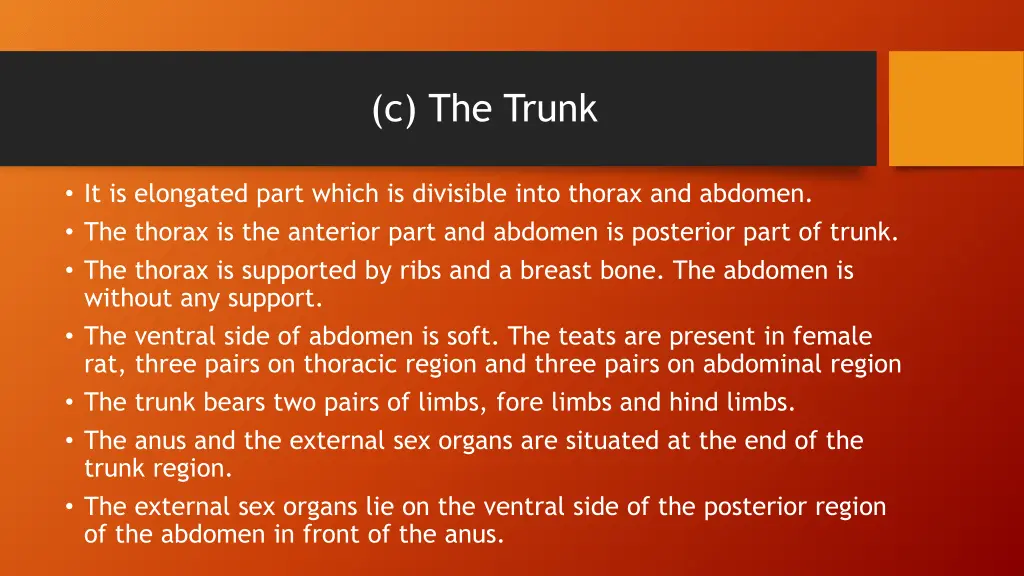 c the trunk