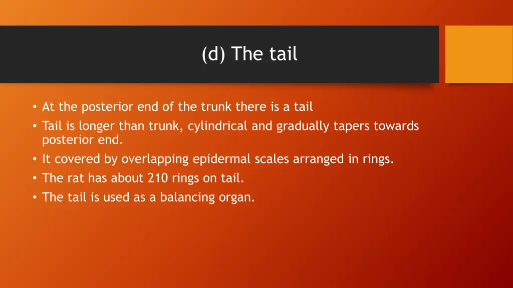 d the tail