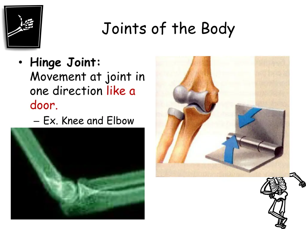 joints of the body 1