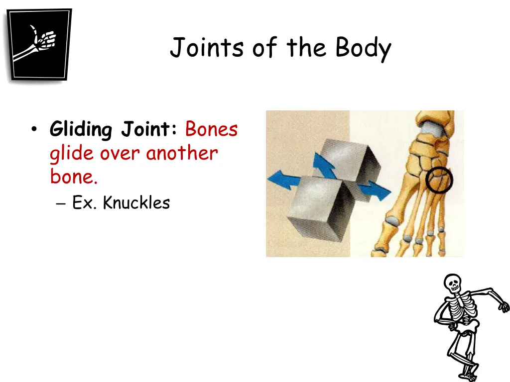 joints of the body 3