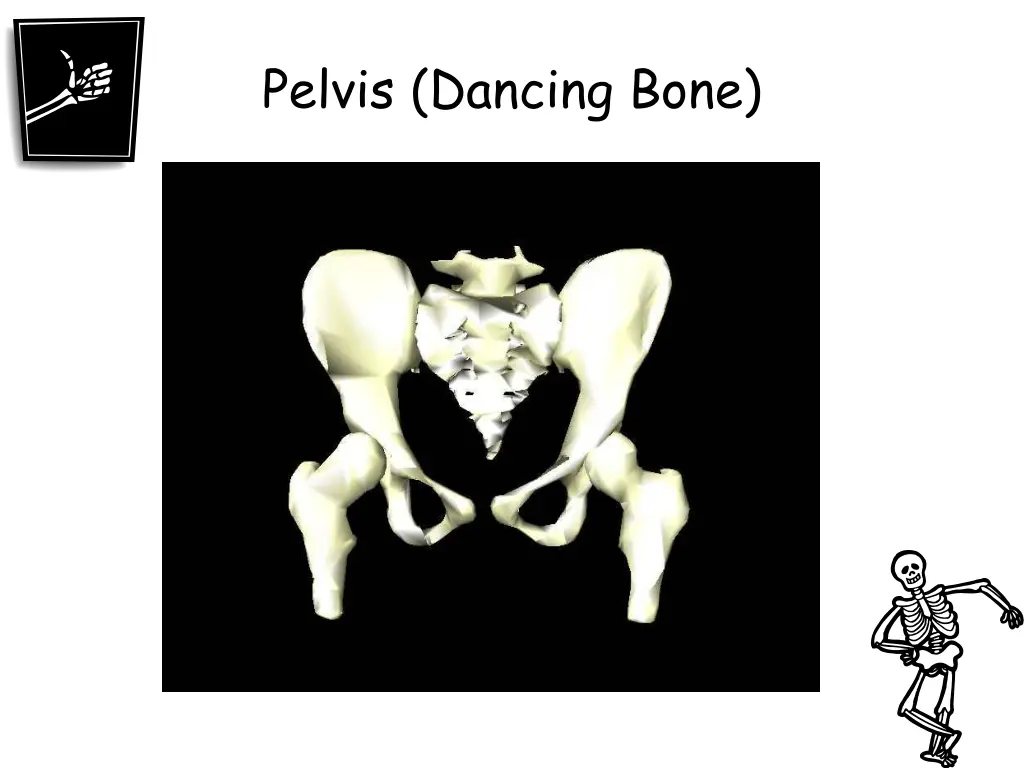 pelvis dancing bone