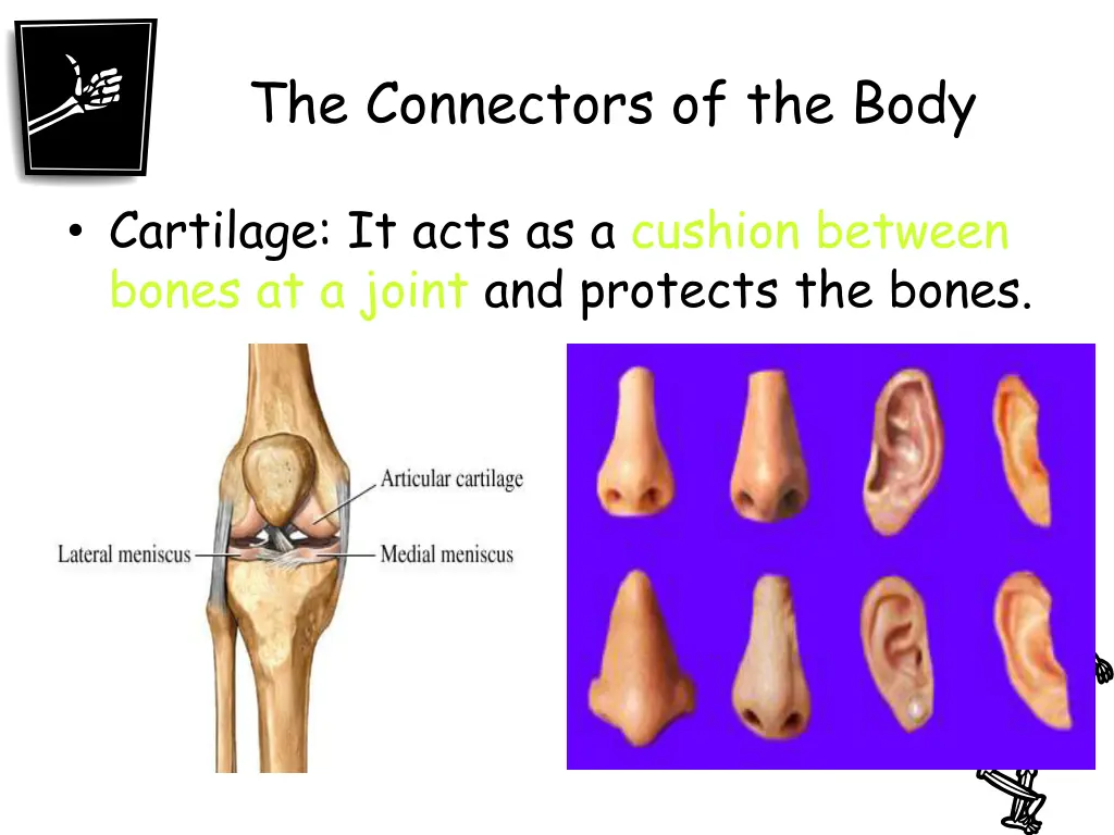 the connectors of the body 2