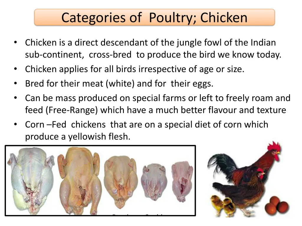 categories of poultry chicken