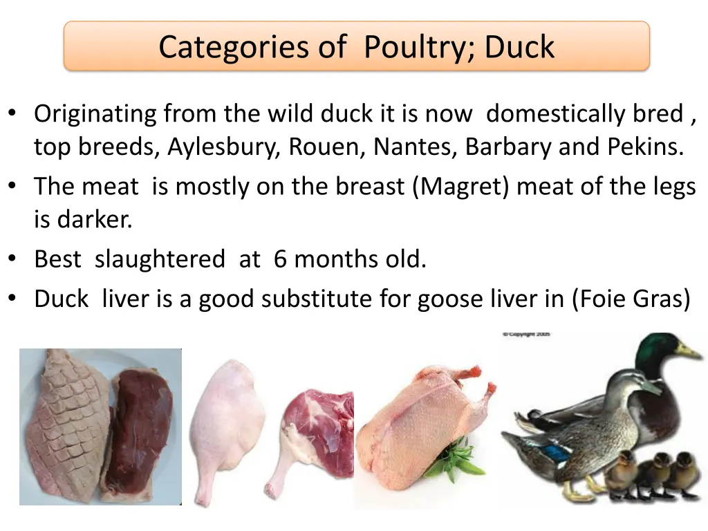 categories of poultry duck