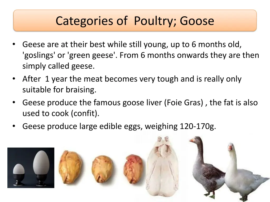 categories of poultry goose