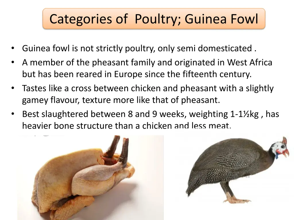 categories of poultry guinea fowl