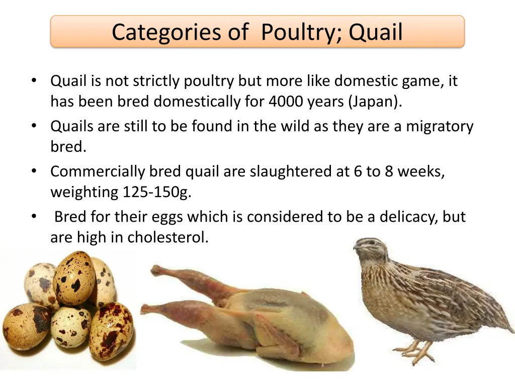 categories of poultry quail