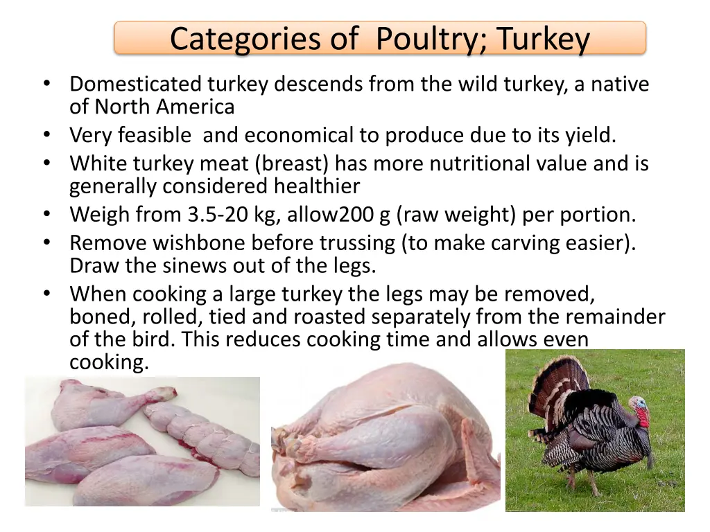 categories of poultry turkey