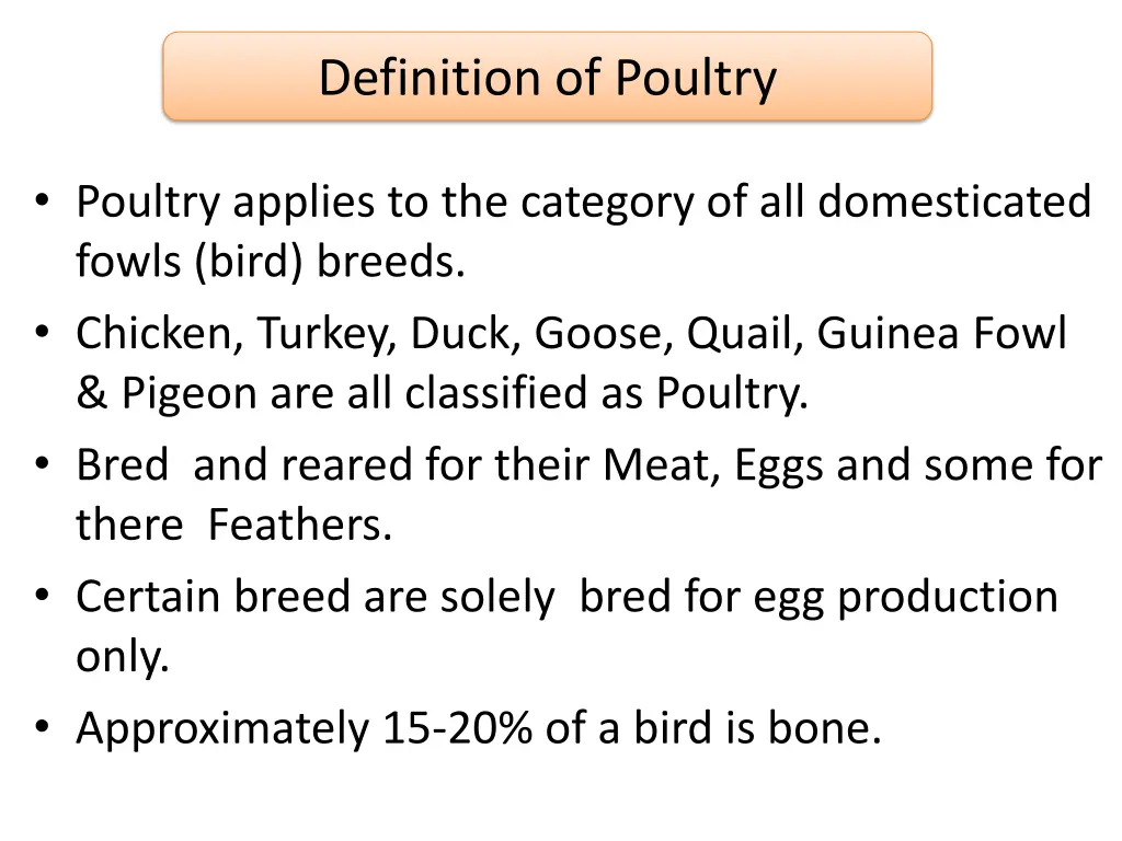 definition of poultry