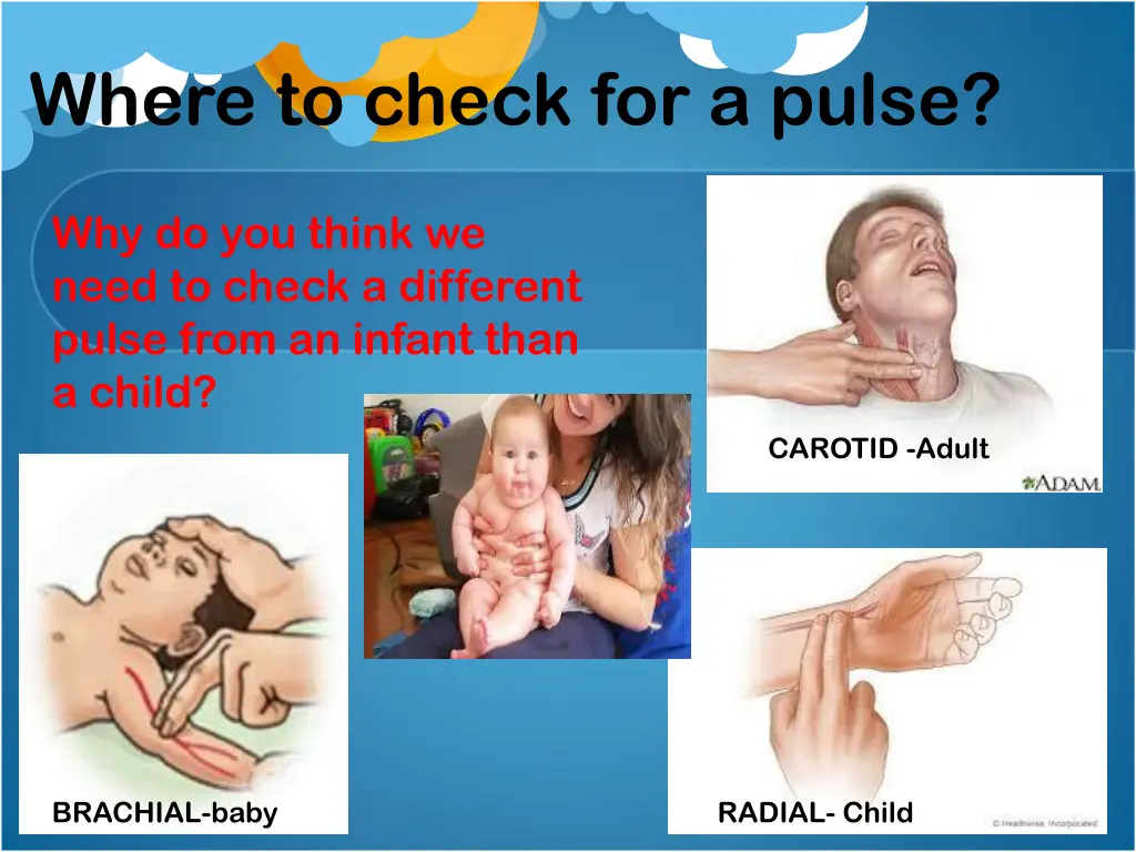 where to check for a pulse