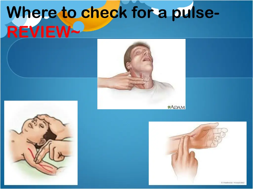 where to check for a pulse review