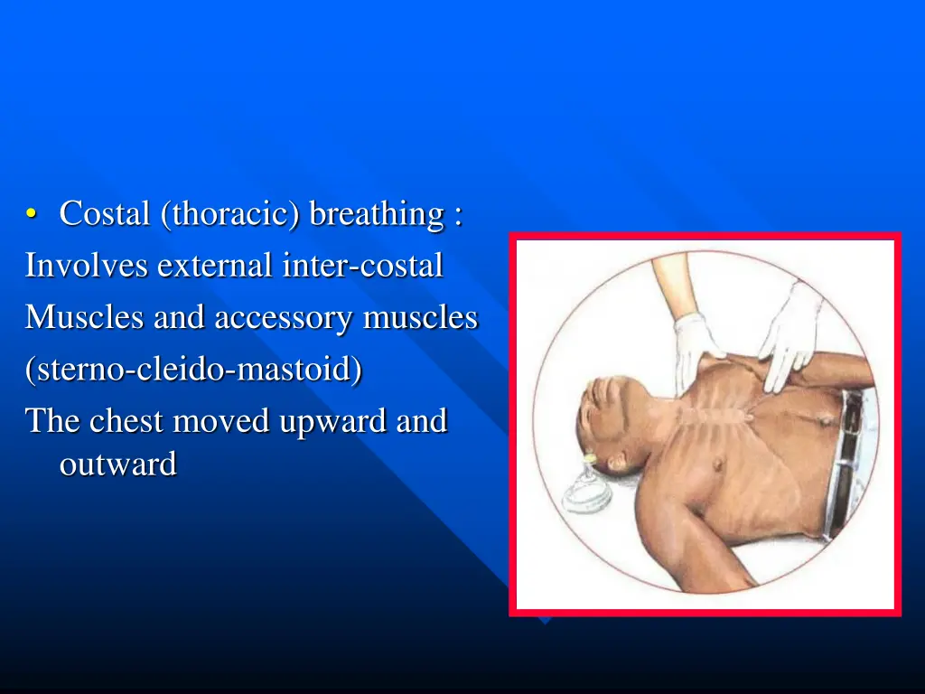 costal thoracic breathing involves external inter