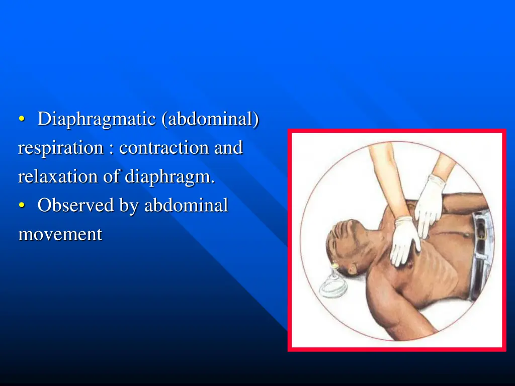 diaphragmatic abdominal respiration contraction