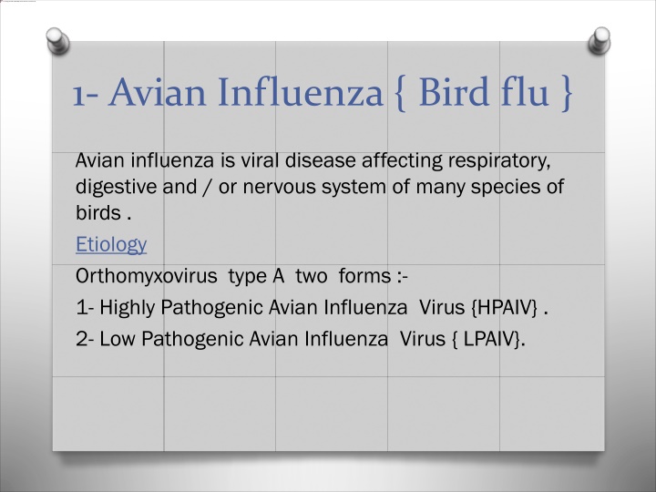 1 avian influenza bird flu