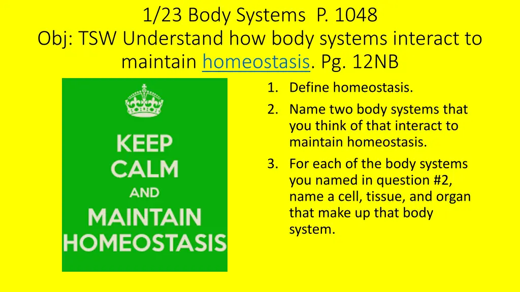 1 23 body systems p 1048 obj tsw understand