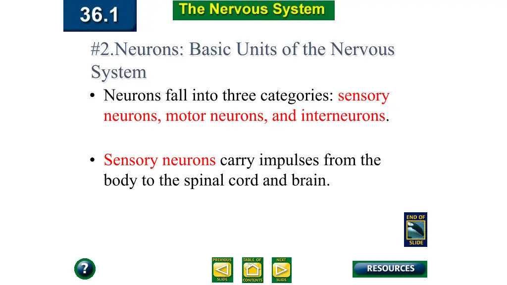 2 neurons basic units of the nervous system