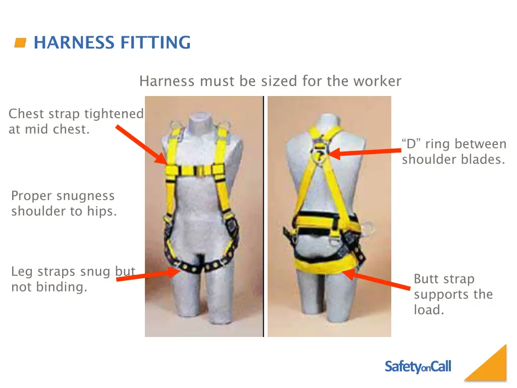 harness fitting