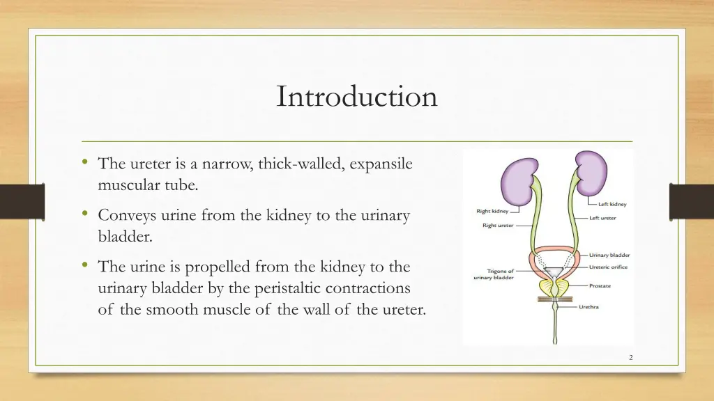 introduction