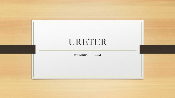 ureter