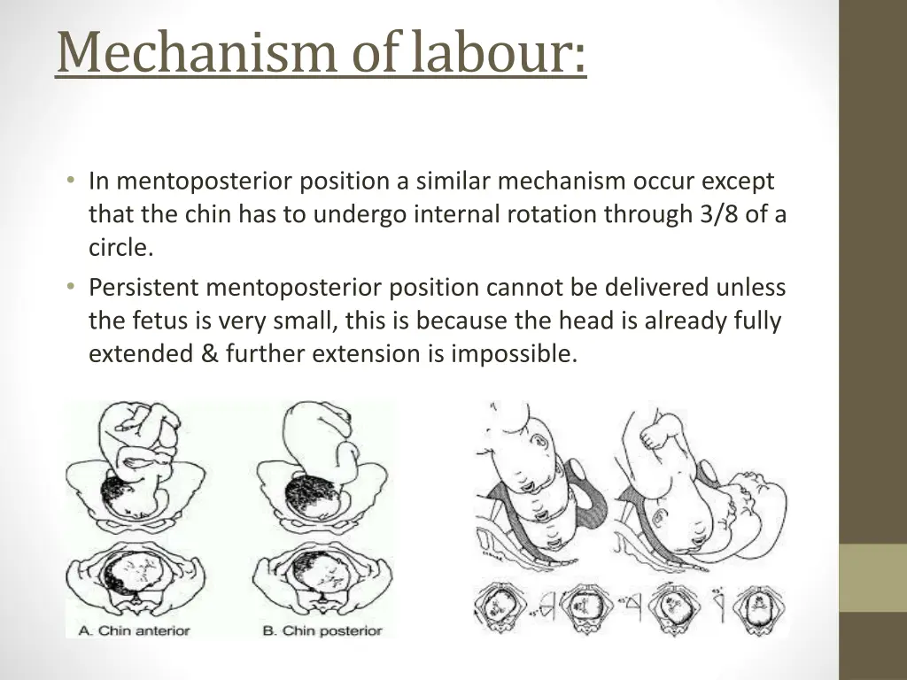 mechanism of labour 1