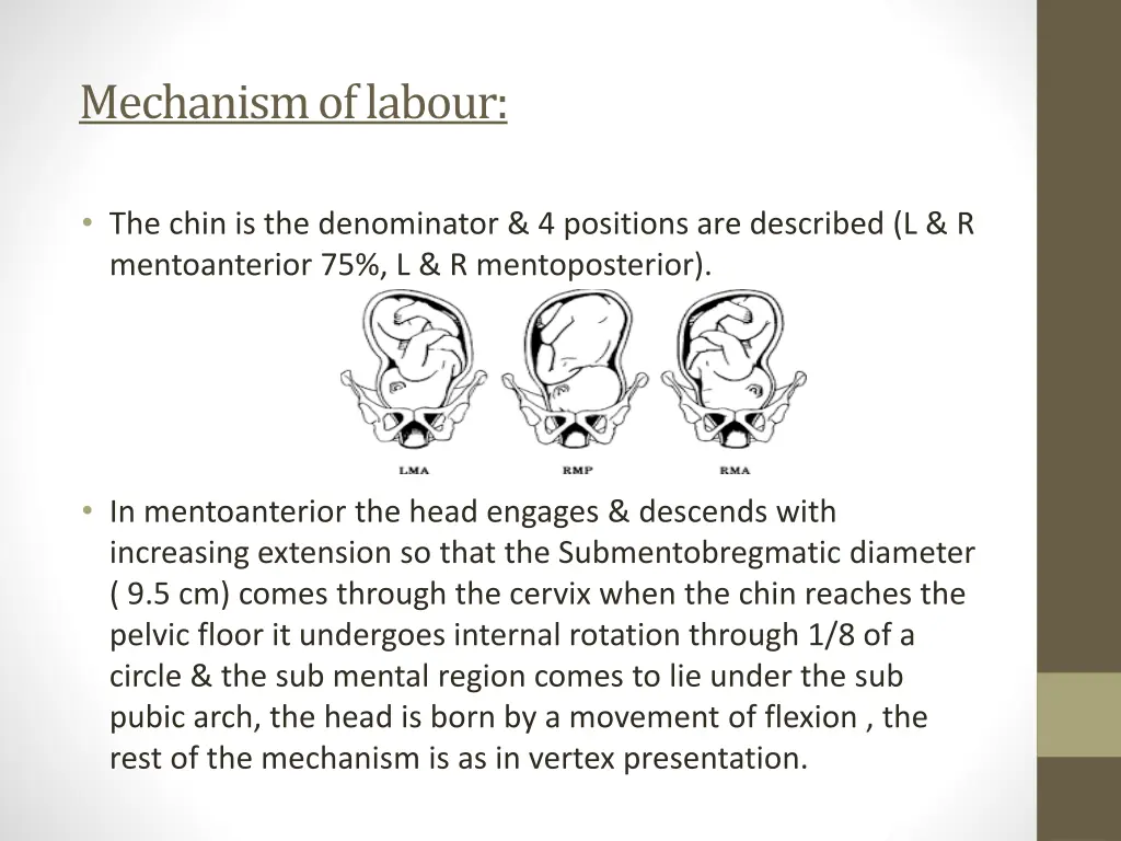 mechanism of labour