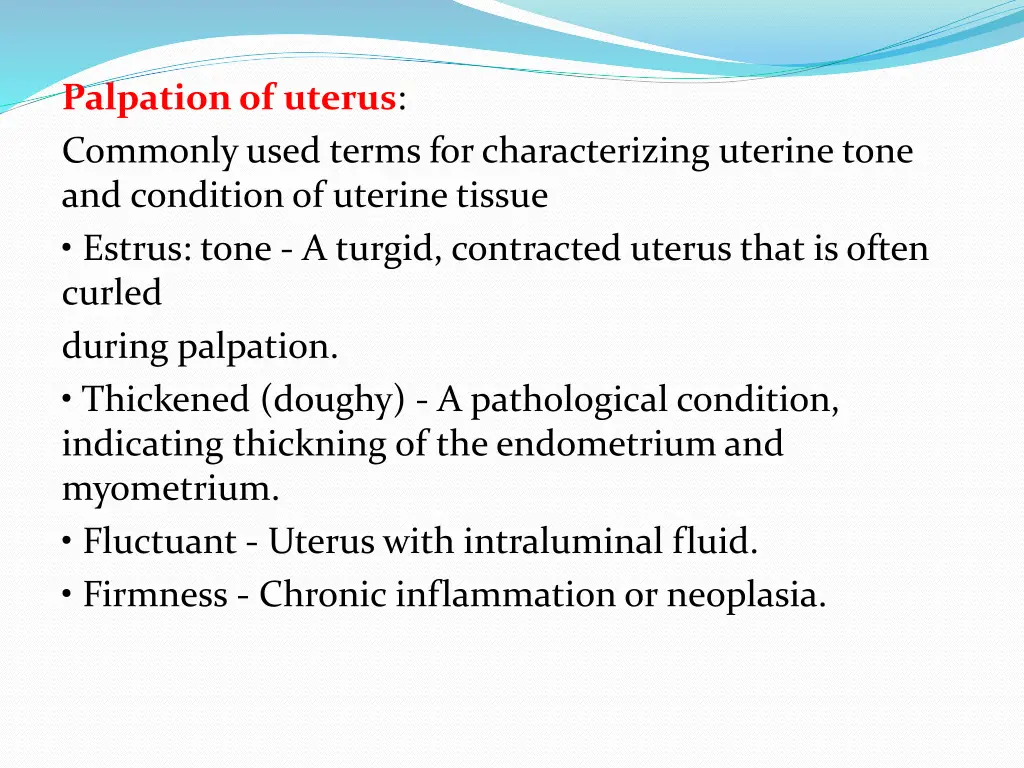 palpation of uterus commonly used terms