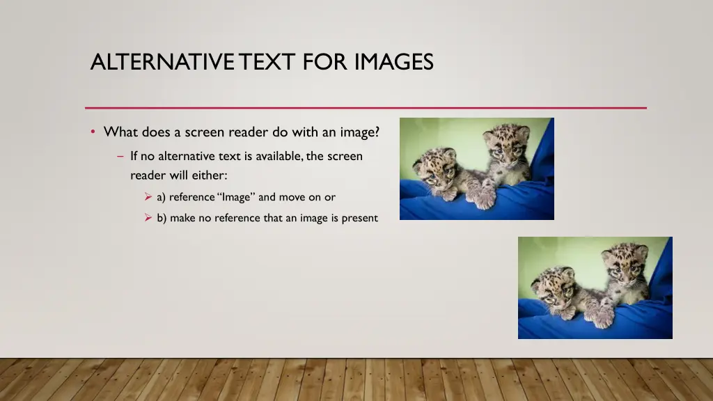 alternative text for images 1