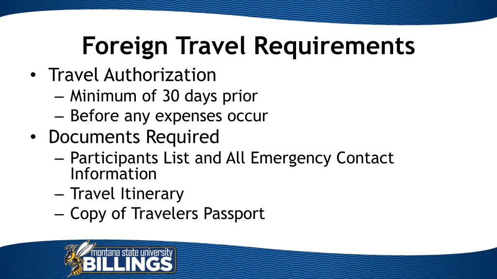 foreign travel requirements travel authorization