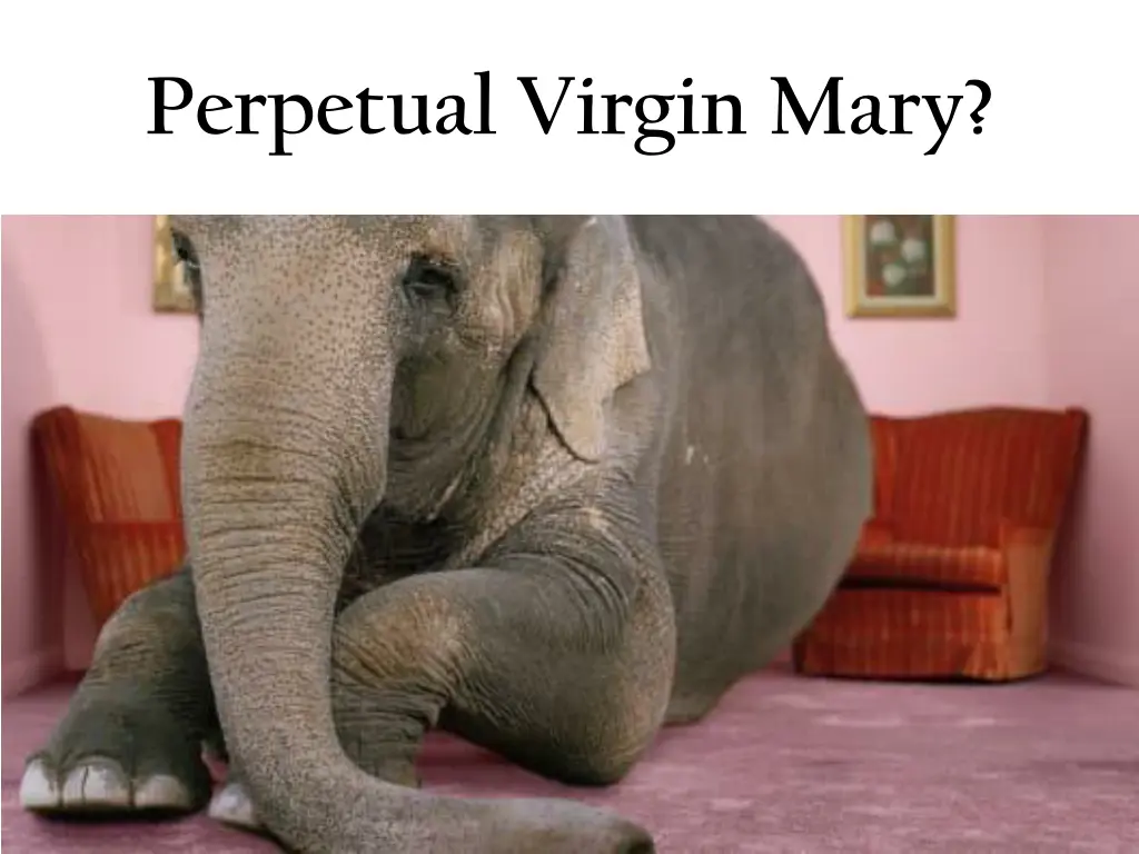 perpetual virgin mary