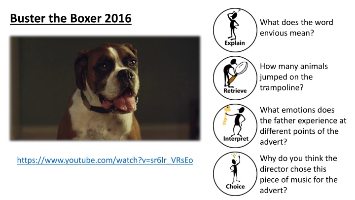 buster the boxer 2016