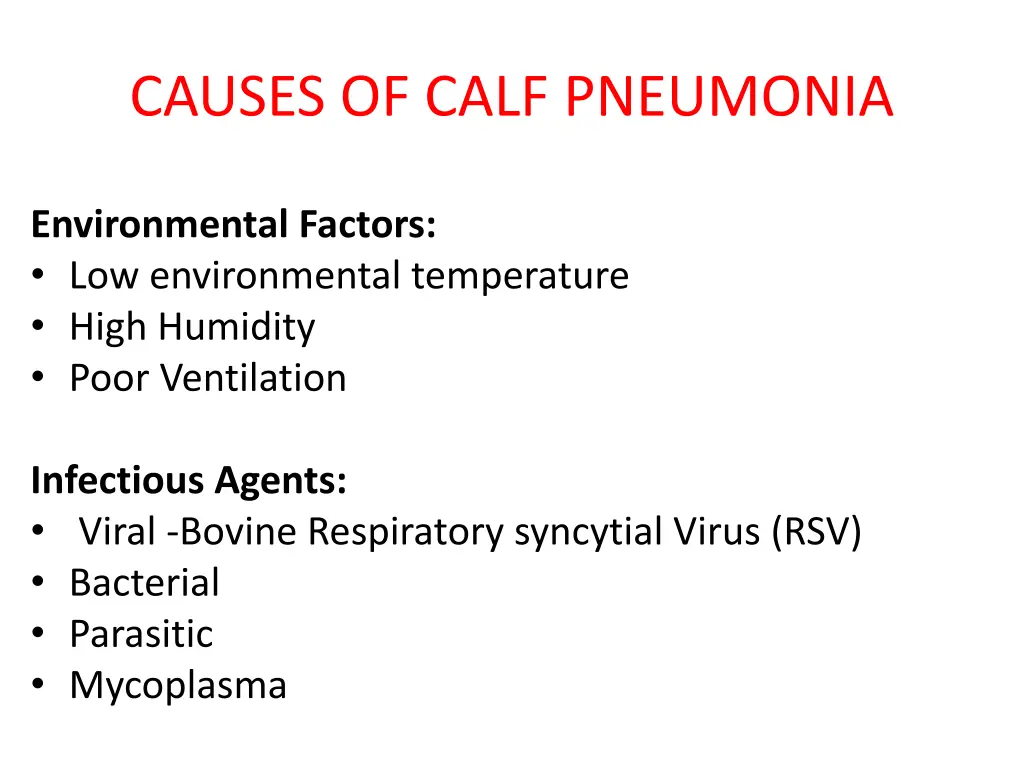 causes of calf pneumonia