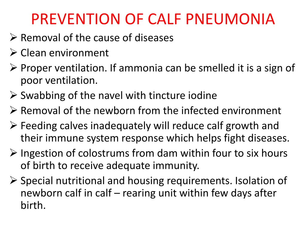 prevention of calf pneumonia removal of the cause