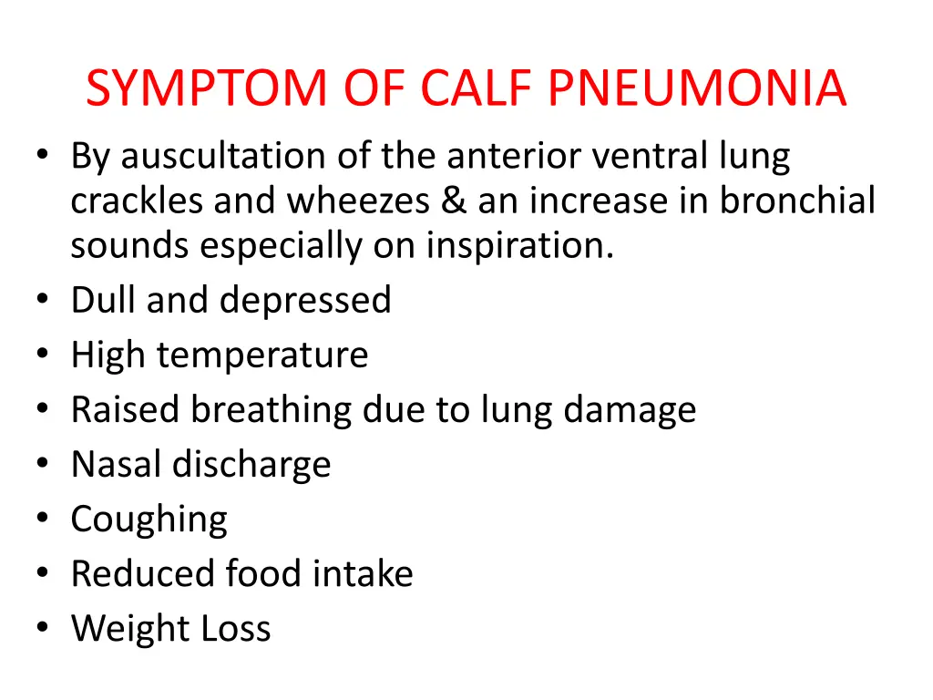 symptom of calf pneumonia by auscultation