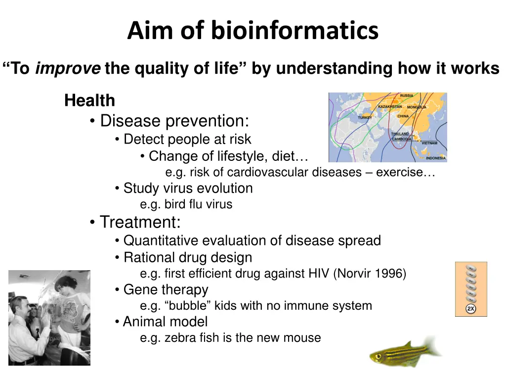 aim of bioinformatics